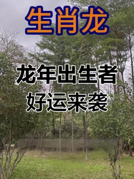 道长预测生肖属相(道长预测属龙的2025运势准吗)