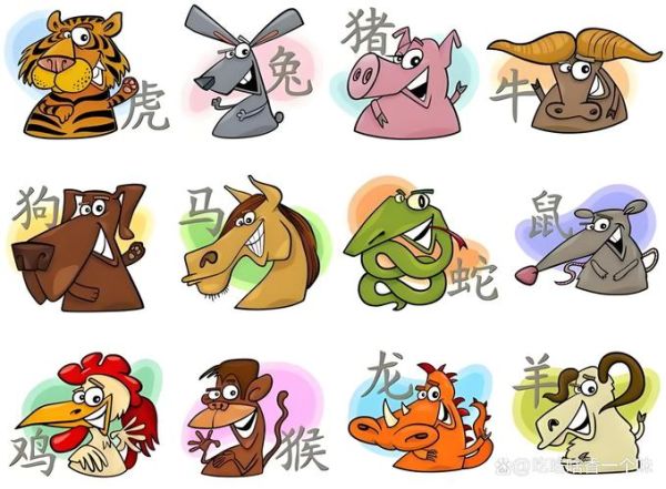 生肖属相照片（十二生肖属相图片素材大全）