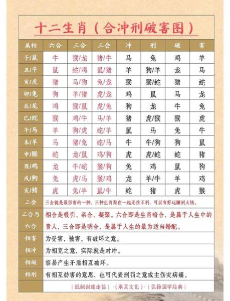 兔的生肖相配的属相（兔和什么生肖最配？3秒看懂绝配榜）