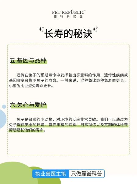 生肖兔克什么属相