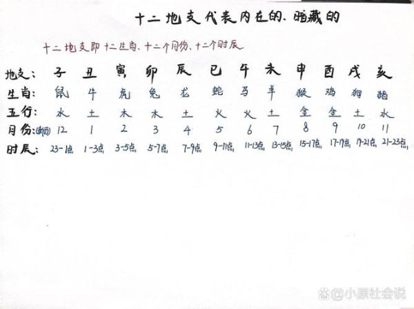 生肖属相对应地支（生肖属相对照表与地支关系详解）