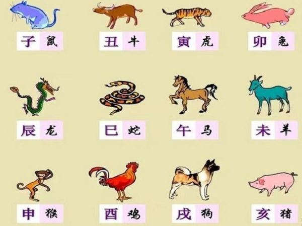 倪海厦谈生肖属相（倪海厦说生肖属相真的准吗？）