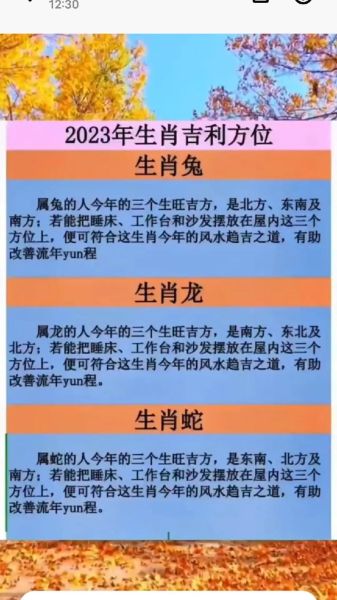 生肖蛇属相运势如何呢