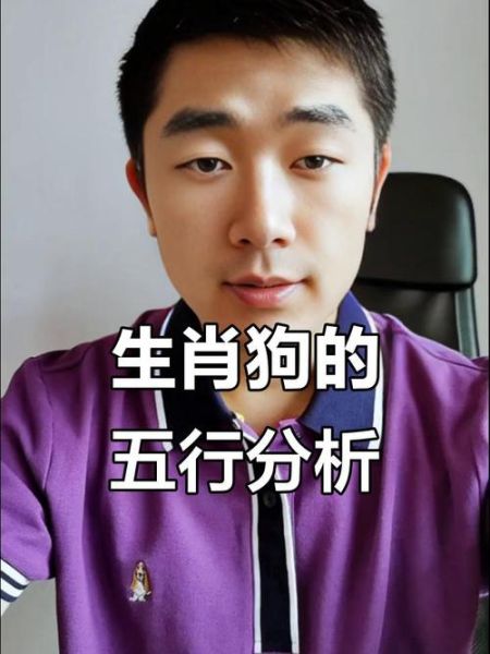 生肖狗五行属相（生肖狗五行属什么？新手一看就懂！）