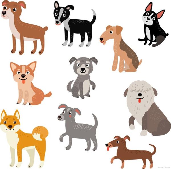 生肖狗跟什么属相配(生肖狗和什么属相最配)