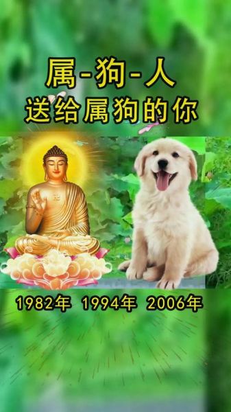 生肖狗跟什么属相配(生肖狗和什么属相最配)