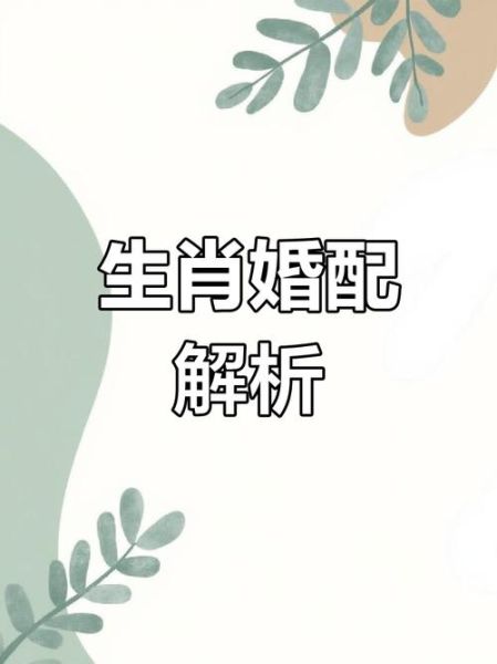 生肖猪人一生婚配属相（属猪一生最佳婚配是什么属相）