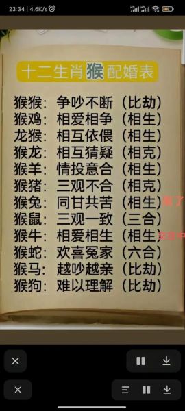 生肖猴喜欢的属相女（生肖猴最配的属相女排行）