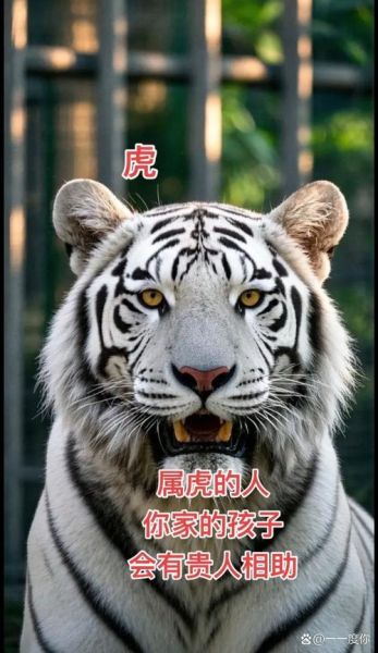 袁虎属啥生肖属相（袁虎属啥生肖）