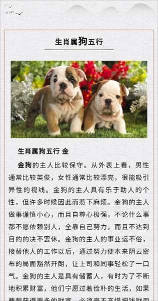 生肖狗属于什么属相(生肖狗属于什么属相?)