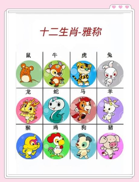 属相跟生肖怎么区分(属相和生肖是一回事吗)