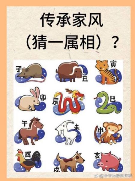 属相跟生肖怎么区分（属相和生肖是一回事吗）