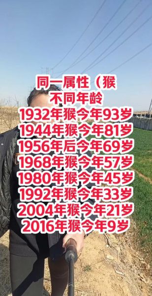 生肖猴和生肖属相（生肖猴和生肖属相如何匹配最旺）