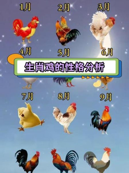 生肖鸡的配偶最佳属相（生肖鸡最佳配偶属相是哪个）