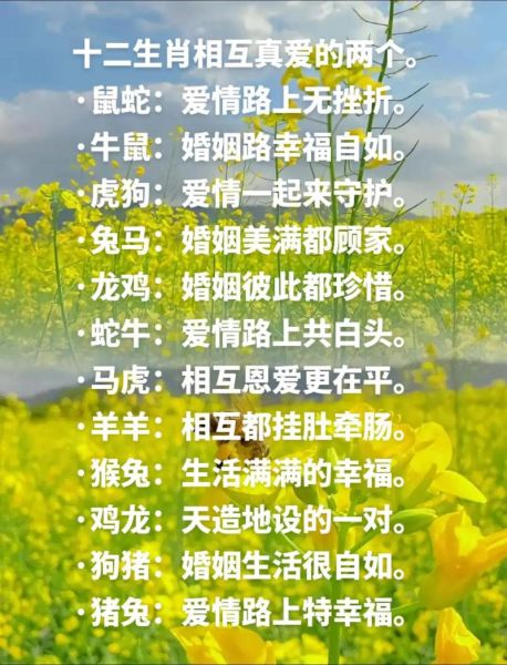 生肖跟哪个属相最好(生肖鼠跟哪个属相最好配对)