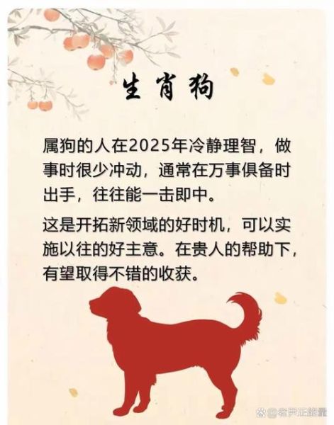 大杨哥什么生肖属相(大杨哥生肖属相揭秘)