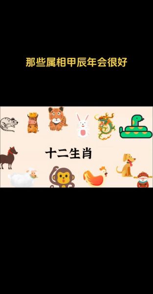 甲的属相是什么生肖