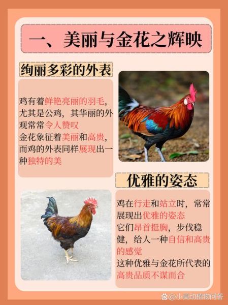 铁属哪个生肖属相