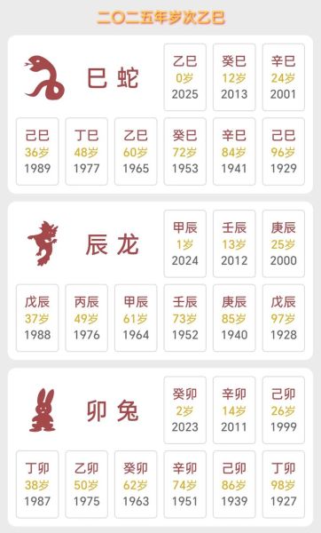 生肖属相排序图片表（2025正版生肖表图片大全）