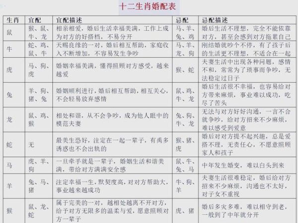 相亲是否看生肖属相（相亲看生肖属相吗真相👀）
