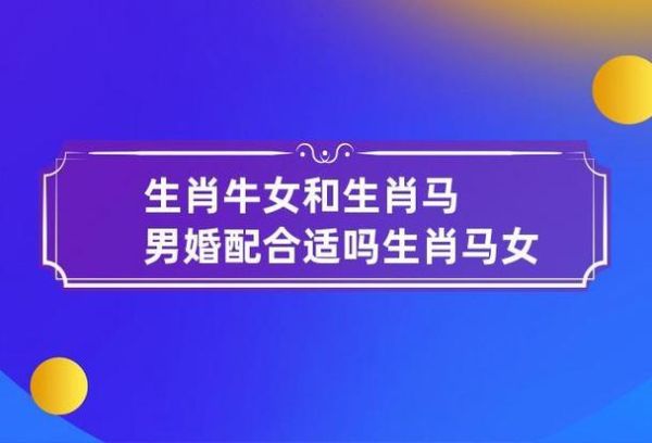 生肖马牛属相合不合