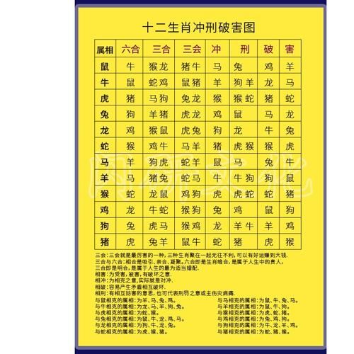 鼠冲的属相是什么生肖