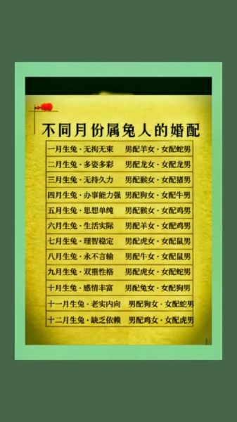 男兔子生肖配对最佳属相