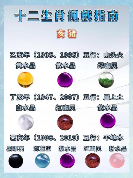 属猪最怕哪些生肖和属相（属猪最怕什么属相？冲犯全解析）