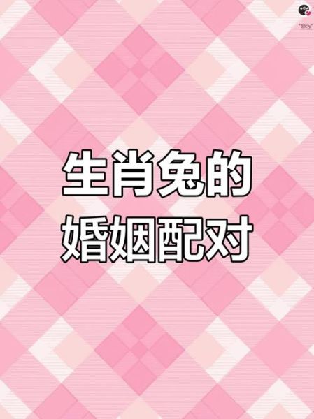 兔子生肖属相配对（兔生肖和什么生肖最配对）