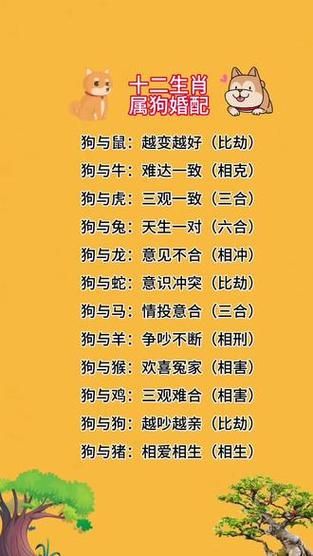 狗婚姻生肖配对最佳属相（属狗和什么生肖配最好婚姻）