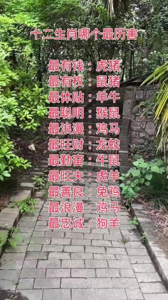生肖排名哪个属相最好（生肖排名哪个属相最好？最旺夫属相大揭秘）