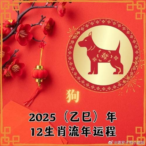 狗时属相是什么生肖（狗时属相是什么生肖呢）