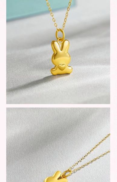 金子兔子生肖属什么属相