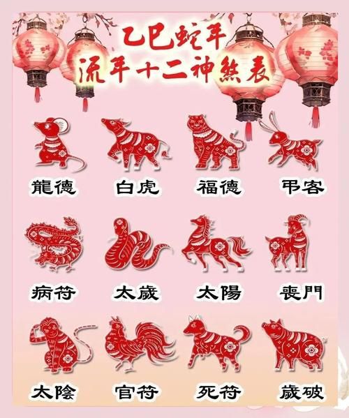 易经生肖属相划分表图（🐲2025年生肖到底按立春还是春节？）