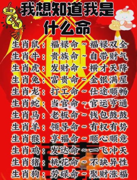 婚后财运最佳生肖属相（婚后财运最旺的三大生肖是谁）