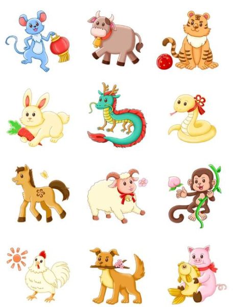 生肖属相动（生肖属相动画图解入门教程）