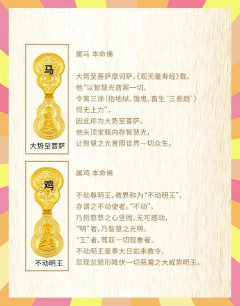 金宝什么生肖属相好（金宝什么生肖属相最旺）