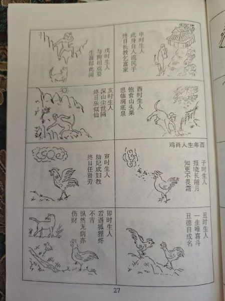 194几年属鸡生肖属相（1945年属鸡还是属猴？速查表来啦）