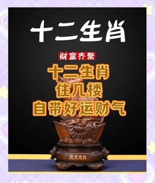 21楼属相是什么生肖（21楼属什么生肖风水最旺）