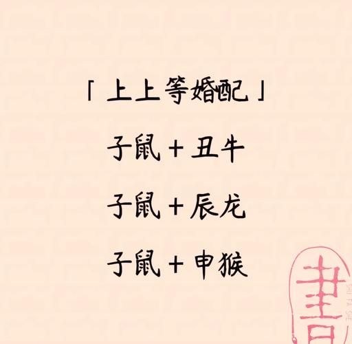 生肖属相婚姻详解(属鼠的和什么属相最配婚姻详解)