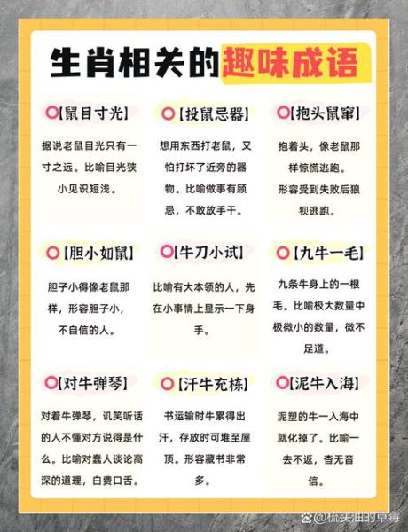 生肖属相成语填空（生肖属相成语填空技巧大全）