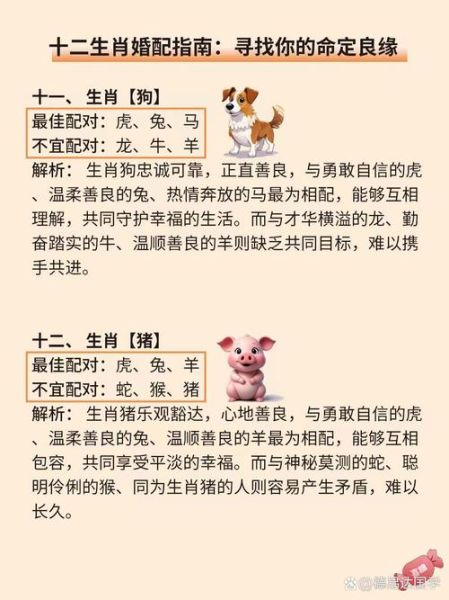 风水先生最佳生肖属相（风水先生属什么生肖最吃香？）