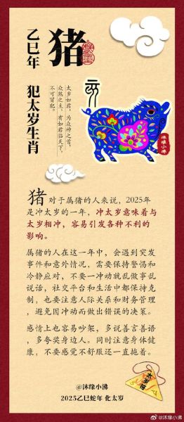 辛巳生肖属相（辛巳年属什么生肖新手秒懂）