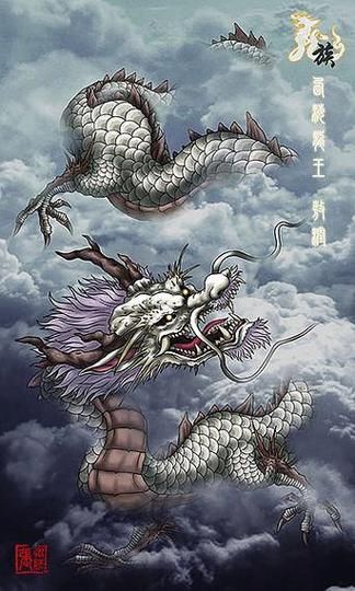 王海属什么生肖属相（王海属什么生肖？一看就懂！🐲）