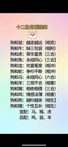 搜索属相十二生肖配对(十二生肖配对表速查婚姻缘分)