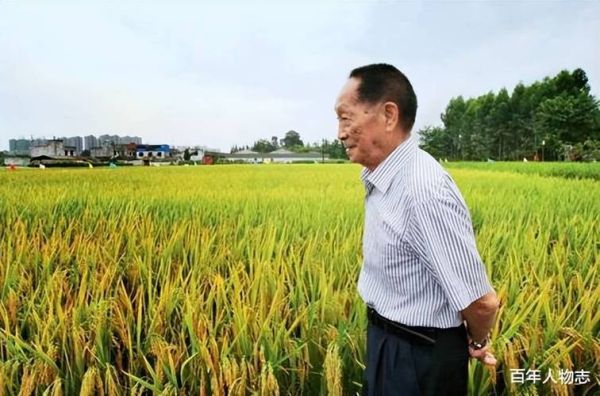 袁隆平生肖属相是什么（袁隆平生肖属相是什么？小白一看就懂！）