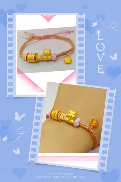 黄金猪生肖属相是什么(黄金猪到底是啥生肖?新手秒懂)