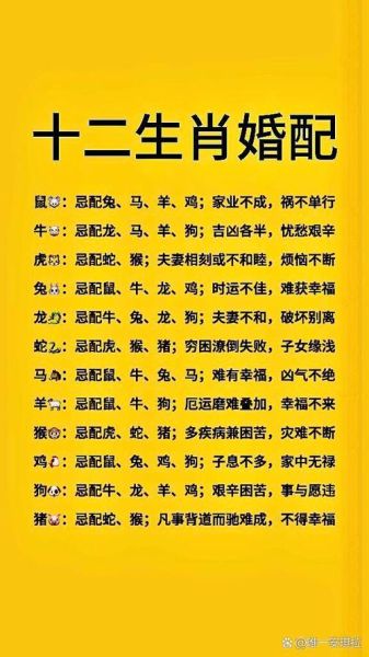 信不信生肖属相(生肖属相到底信不信准不准)