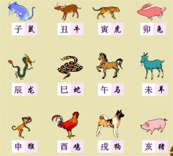 2020年属相生肖（2020年属什么生肖的宝宝）
