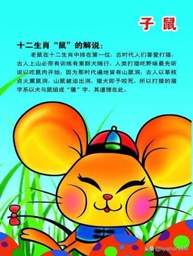 96年属相什么生肖(96年属相到底是啥生肖)